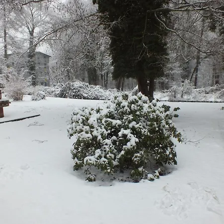 Markgrafenmuehle Guest house Cottbus