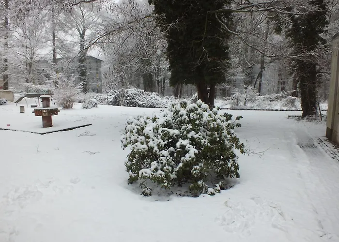 Markgrafenmuehle Guest house Cottbus